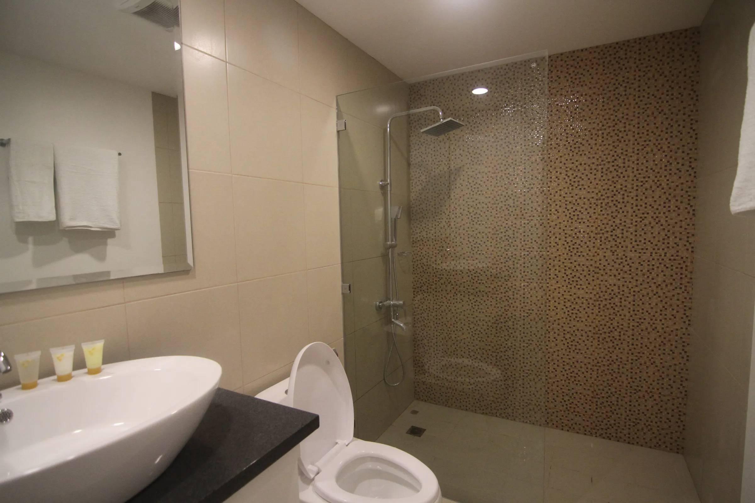 Private bathroom with a walk-in shower.